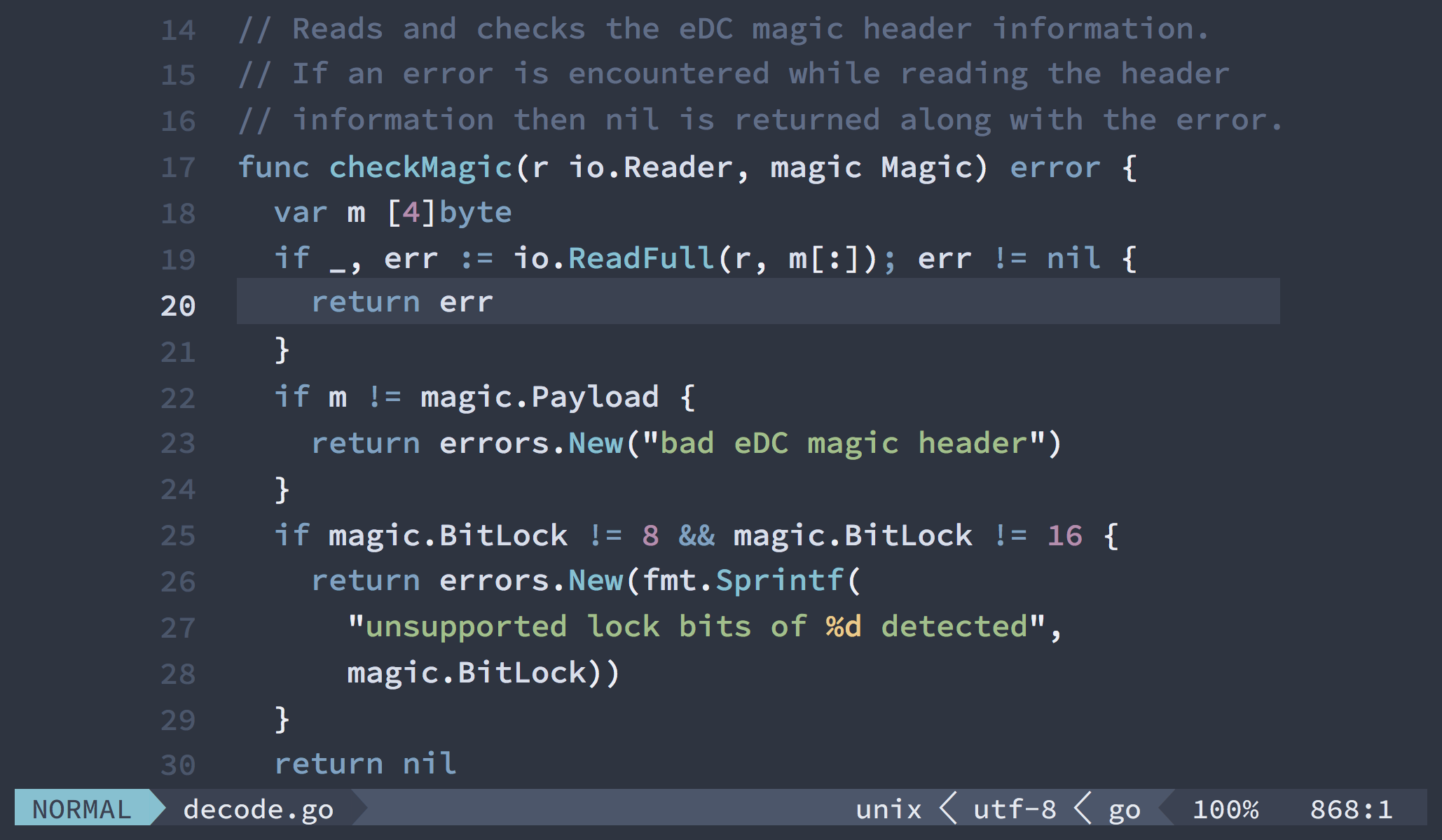 Screenshot showing Vim in terminal mode with a Go function to check for magic file header information