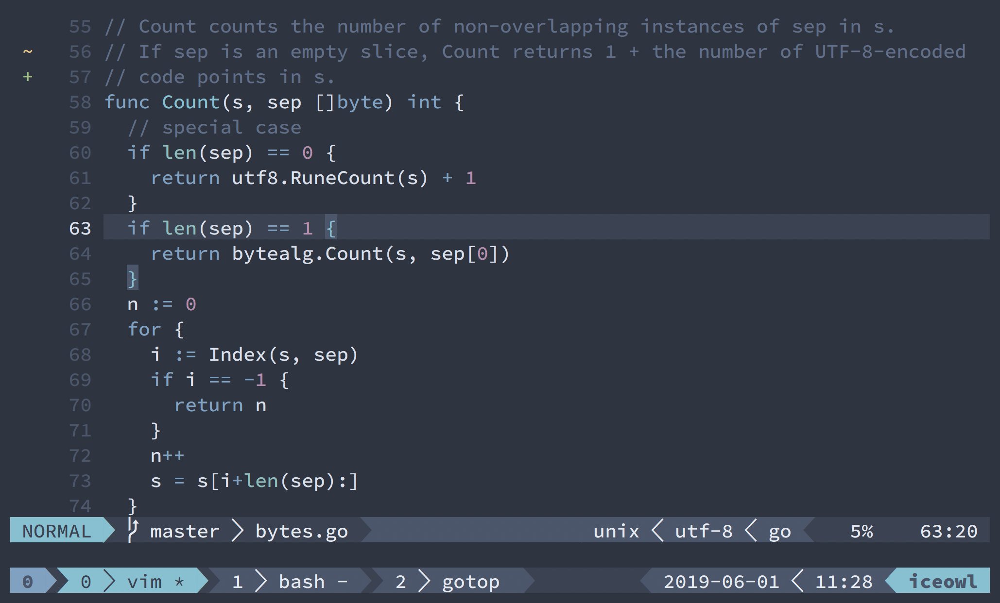 Screenshot showing a fluidly merged UI of tmux and the Nord Vim theme with a Go function.