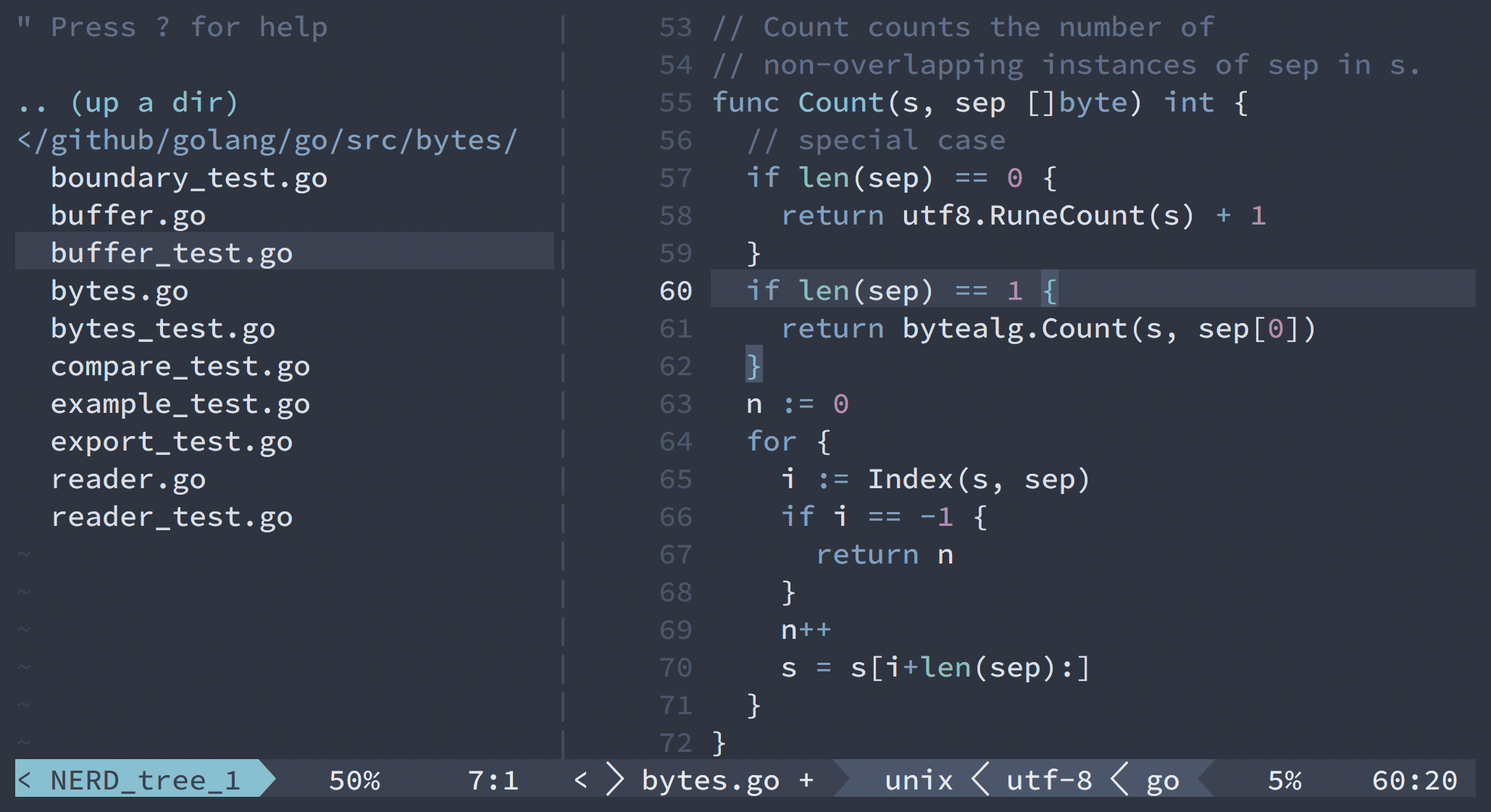 Screenshot showing the syntax highlighting through vim-go and the opened NERDTree plugin.